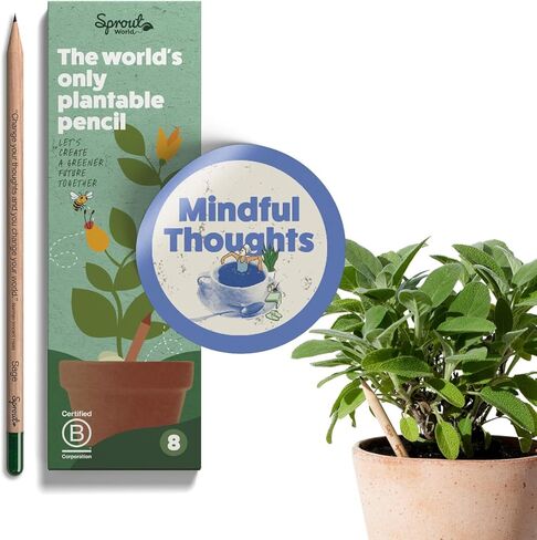 أقلام رصاص بعلبة خشبية من SproutWorld | طبعة المعلم | أقلام رصاص خشبية قابلة للزراعة من الجرافيت مشحذ مسبقًا من HB مع بذور الزهور والأعشاب والخضروات | هدية للمعلمين والأطفال المبدعين والطلاب | 32 عبوة in Kuwait