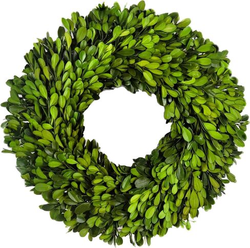 Preserved Boxwood Wreath 10-inch in Saudi Arabia