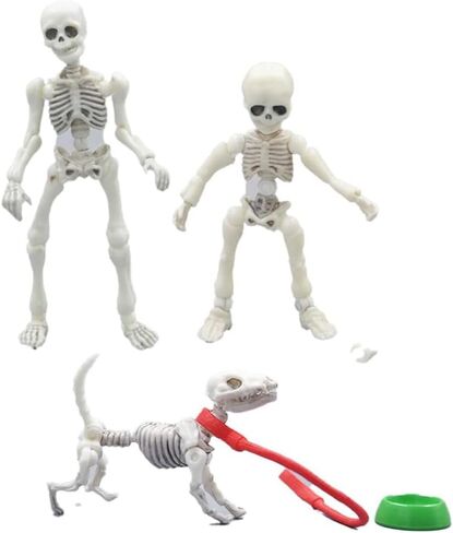 3pcs Cute Fashion Design Mr. Bones Mini Pose Skeleton Model Decorations with Dog Micro Landscape Mini Home Garden Decor Collectible (3pcs Skull) in Saudi Arabia