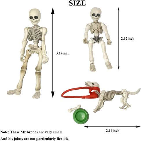 3pcs Cute Fashion Design Mr. Bones Mini Pose Skeleton Model Decorations with Dog Micro Landscape Mini Home Garden Decor Collectible (3pcs Skull) in Saudi Arabia