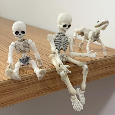 3pcs Cute Fashion Design Mr. Bones Mini Pose Skeleton Model Decorations with Dog Micro Landscape Mini Home Garden Decor Collectible (3pcs Skull) in Saudi Arabia