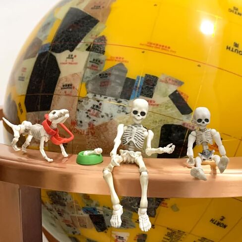 3pcs Cute Fashion Design Mr. Bones Mini Pose Skeleton Model Decorations with Dog Micro Landscape Mini Home Garden Decor Collectible (3pcs Skull) in Saudi Arabia