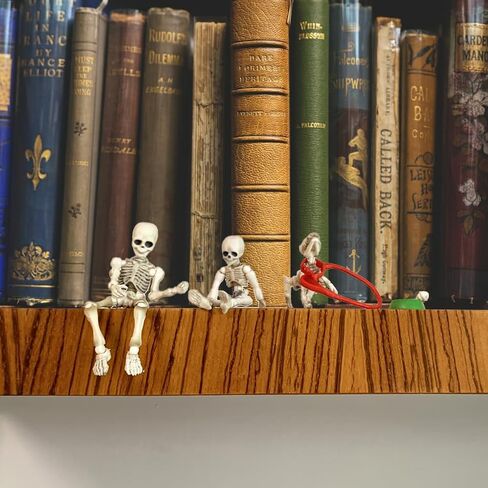 3pcs Cute Fashion Design Mr. Bones Mini Pose Skeleton Model Decorations with Dog Micro Landscape Mini Home Garden Decor Collectible (3pcs Skull) in Saudi Arabia