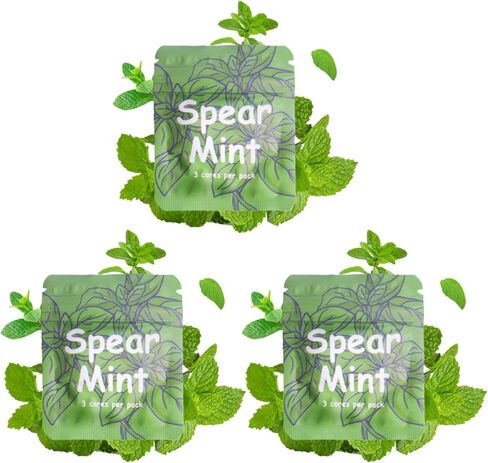 Plant-Based Spear Mint Cores for Oral Fixation Aid Inhaler – Smokeless, Vaporless Design with Natural Wood Barrel | Flavored Air Support for Smoking Cessation in Saudi Arabia