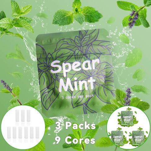 Plant-Based Spear Mint Cores for Oral Fixation Aid Inhaler – Smokeless, Vaporless Design with Natural Wood Barrel | Flavored Air Support for Smoking Cessation in Saudi Arabia