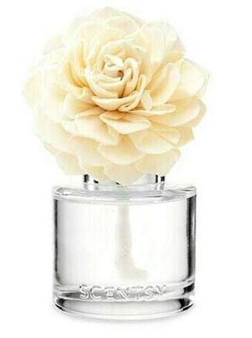 Scentsy Aloe Water & Cucumber Fragrance Flower in Kuwait