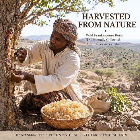 Somali Frankincense Resin Tears, Premium Natural Resin Incense for Meditation, Aromatherapy, Spiritual Rituals & Home Fragrance, Pure Frankincense Resin (30g / 130g Options (130) in Kuwait