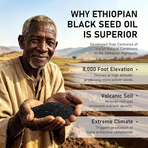 Purely Ethiopian Black Seed Oil Capsules, Purely Nutrient Ethiopian Black Seed Oil Capsules 4.64% Thymoquinone, Organic Cold Pressed, Non-GMO, Gluten-Free, 60 Softgels in Saudi Arabia