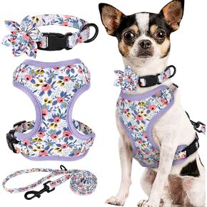 Beirui Cute Girl Dog Collars, Harnesses & Leashes Set - Adjustable Dog Collar and Leash Set with Flower - Soft Mesh Dog Vest Harness for Puppies Small Medium Dogs (Purple,M) in Saudi Arabia
