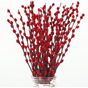 Natural Preserved Dried PussyWillow Branches for Vases, 20 Stems Real Willows, 17" Snow Pussywillows, Dried Flowers for Indoor Decor, Wedding Home DIY Floral Art Plants Fireplace, Red in Saudi Arabia