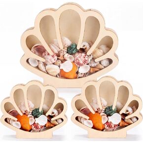 Mifoci 3 Pcs Seashell Display Box Wooden Scallop Shaped Sea Shell Holder with Acrylic Clear Window Starfish Display Case Shadow Box for Sea Glass Shark Tooth Storage Collection Summer Home Decor in Saudi Arabia