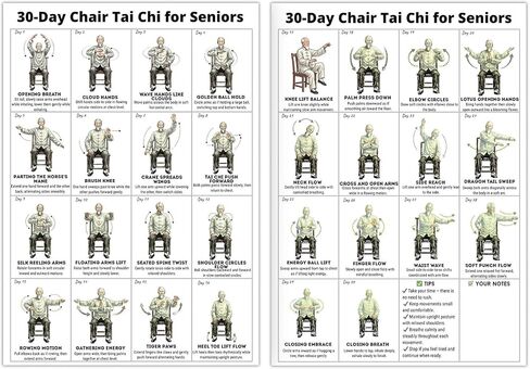 Tai Chi Chair Workout Chart Poster Print Laminated Seated Exercises for Beginners Seniors with Limited Mobility Balance Fall Prevention Routine Canvas Wall Art Living Room Bedroom HomeGym Decor (16*24inch) in Saudi Arabia