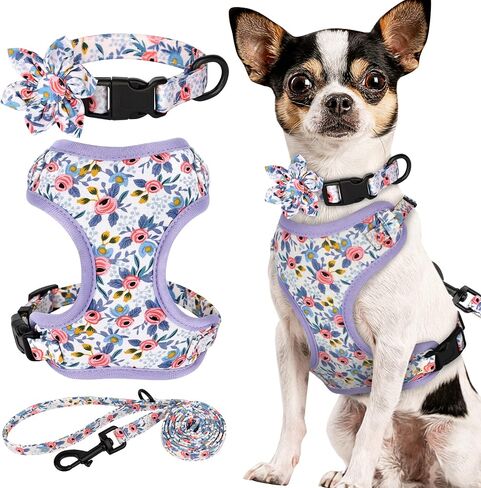 Beirui Cute Girl Dog Collars, Harnesses & Leashes Set - Adjustable Dog Collar and Leash Set with Flower - Soft Mesh Dog Vest Harness for Puppies Small Medium Dogs (Purple,M) in Saudi Arabia