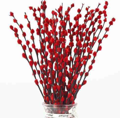 Natural Preserved Dried PussyWillow Branches for Vases, 20 Stems Real Willows, 17" Snow Pussywillows, Dried Flowers for Indoor Decor, Wedding Home DIY Floral Art Plants Fireplace, Red in Saudi Arabia