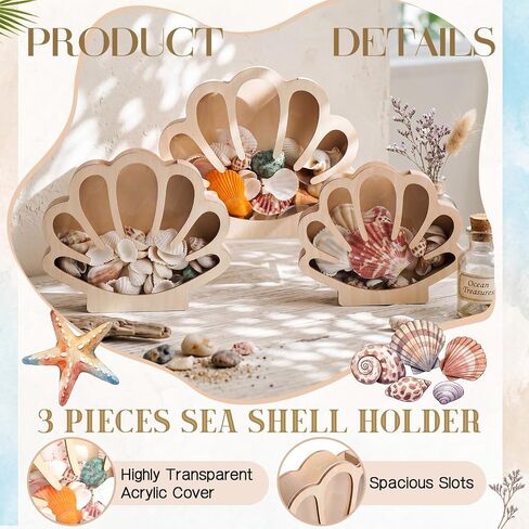 Mifoci 3 Pcs Seashell Display Box Wooden Scallop Shaped Sea Shell Holder with Acrylic Clear Window Starfish Display Case Shadow Box for Sea Glass Shark Tooth Storage Collection Summer Home Decor in Saudi Arabia