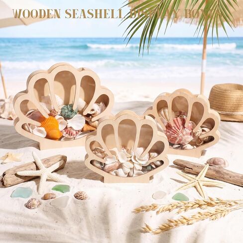Mifoci 3 Pcs Seashell Display Box Wooden Scallop Shaped Sea Shell Holder with Acrylic Clear Window Starfish Display Case Shadow Box for Sea Glass Shark Tooth Storage Collection Summer Home Decor in Saudi Arabia