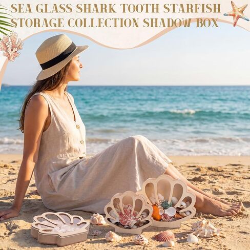 Mifoci 3 Pcs Seashell Display Box Wooden Scallop Shaped Sea Shell Holder with Acrylic Clear Window Starfish Display Case Shadow Box for Sea Glass Shark Tooth Storage Collection Summer Home Decor in Saudi Arabia
