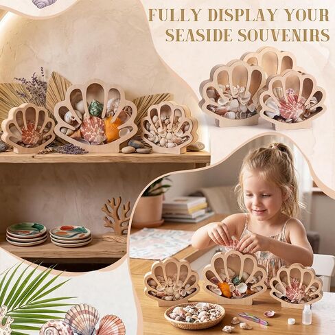 Mifoci 3 Pcs Seashell Display Box Wooden Scallop Shaped Sea Shell Holder with Acrylic Clear Window Starfish Display Case Shadow Box for Sea Glass Shark Tooth Storage Collection Summer Home Decor in Saudi Arabia