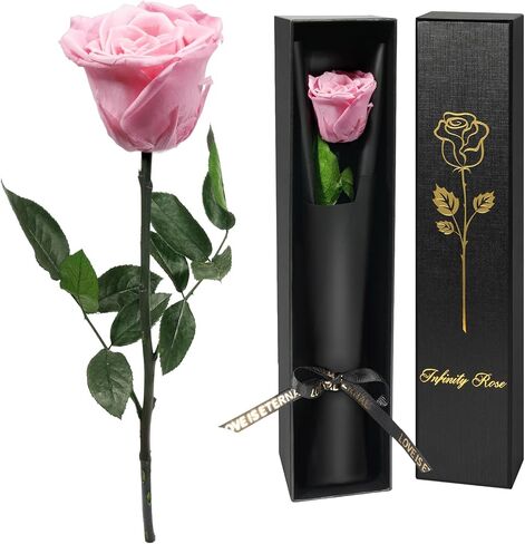 Yamonic Preserved Flowers Rose Gifts for Women Mom,Mothers Day Rose Flower Gifts for Mom,Real Flower Birthday Mom Gifts for Grandma,Wife,Girlfriend Gifts for Christmas,Valentine's Day,Anniversary(Red) in Kuwait