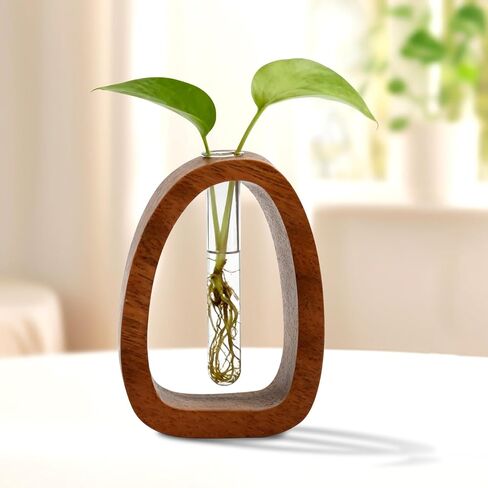 Solid Wood Frame Glass Test Tube Vase Desk Hydroponic Plant,Modern Decorative Hydrophilic Plants Vases,Mini Propagation Station for Hydroponic Plants,Desktop Home Office Decor in Saudi Arabia