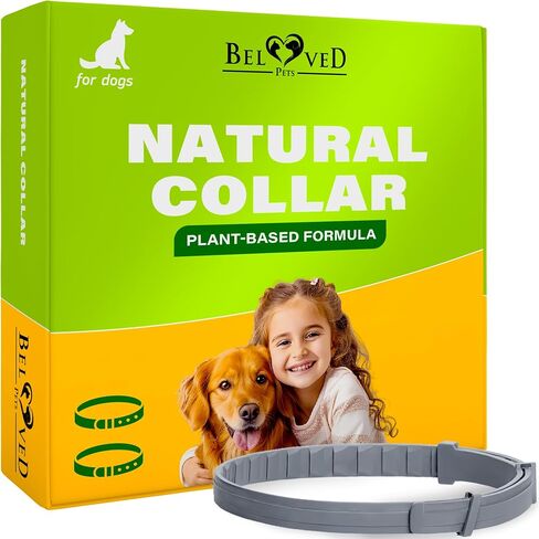 Natural Flea & Tick Collar for Dogs - 6 Months Control of Best Prevention & Safe Treatment - Anti Fleas and Ticks Essential Oil Repellent (1 Pack, 2 Count) in Saudi Arabia