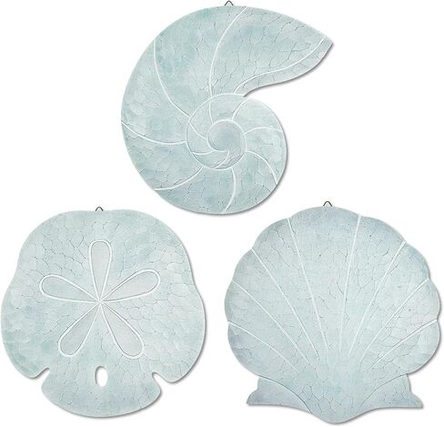 Novabright 3 Pcs Summer Coastal Wall Decor Blue Beach Wall Art Wooden Sand Dollar Nautilus Scallop Shell Decor Hanging Wood Beach Ocean Sand Dollars Art for Bathroom Living Room Lake House Entryway in Kuwait