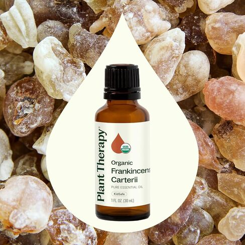 Plant Therapy Organic Frankincense Carterii Essential Oil 30 mL (1 oz) 100% Pure, USDA Certified Organic, Undiluted, Grounding Aromatherapy for Yoga and Meditation in Kuwait