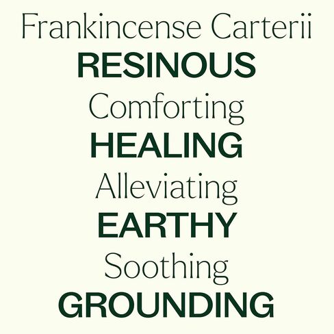 Plant Therapy Organic Frankincense Carterii Essential Oil 30 mL (1 oz) 100% Pure, USDA Certified Organic, Undiluted, Grounding Aromatherapy for Yoga and Meditation in Kuwait