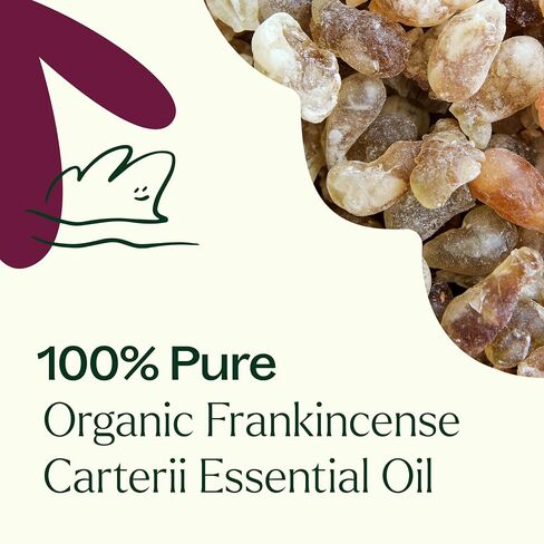 Plant Therapy Organic Frankincense Carterii Essential Oil 30 mL (1 oz) 100% Pure, USDA Certified Organic, Undiluted, Grounding Aromatherapy for Yoga and Meditation in Kuwait