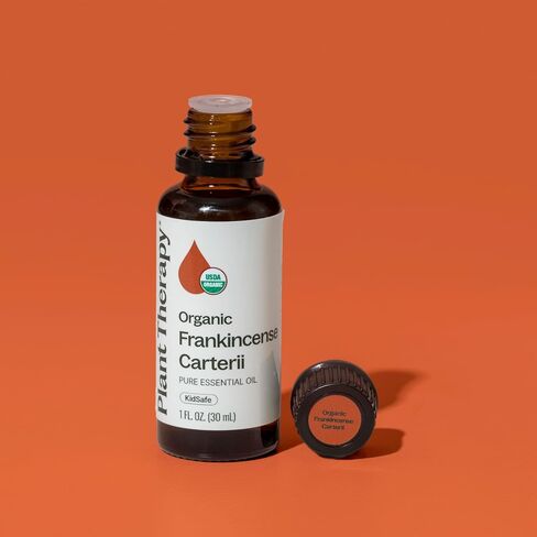 Plant Therapy Organic Frankincense Carterii Essential Oil 30 mL (1 oz) 100% Pure, USDA Certified Organic, Undiluted, Grounding Aromatherapy for Yoga and Meditation in Kuwait
