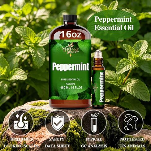 Peppermint Essential Oil, Peppermint Oil 16 Fl Oz 480ml for Diffuser Yoga Soap & Candle Making – with 0.33 Oz Roller Ball & Funnel YHSESSE Essential Oils in Kuwait