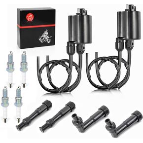 MOTO1988 Ignition Coil Pack R+L & spark plug + Cap For Honda Nighthawk 750 CB750 1991-2003