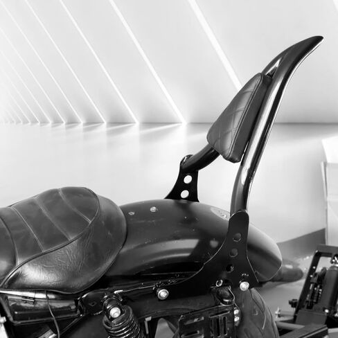 HDBUBALUS Motorcycle Sissy Bar Detachable Rear Passenger Backrest Pad Fit for Harley Sportster XL883 2004-2022 (Black,Plain Pad) in Saudi Arabia