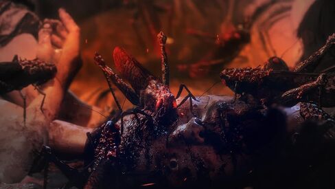 وو لونج: Fallen Dynasty - لأجهزة إكس بوكس ​​سيريس إكس in Kuwait