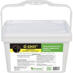 GastroMend Gastrointestinal Health Supplement for Horses, 100% Natural, Promotes Stomach and Gut Health in Equines, Cost-Effective Digestive Wellness, 30 Servings per Pouch, Made in the USA in Kuwait