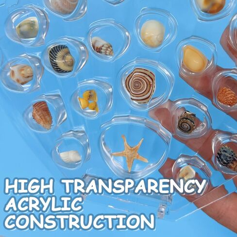 Clear Magnetic Seashell Display Collecting Box, Coast Style Decor Shadow Box Holder for Tiny Sea Shell Starfish Beach Souvenirs, Acrylic Case for Jewelry Crystal Gemstones, Transparent in Saudi Arabia