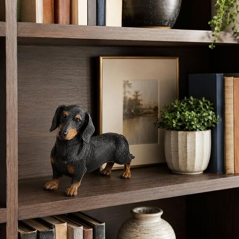 Comfy Hour 7" Black Dachshund Figurine, Realistic Resin Dog Statue with Brown Accents, Small Wiener Dog Decorative Sculpture for Shelf, Desk, Bookshelf, Mantel, Entryway and Dog Lover Gift in Kuwait