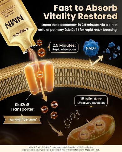 NMN 600mg Liposomal Liquid Pouches with Resveratrol 150mg, PQQ, CoQ10 & Astaxanthin-High Absorption NAD+ Supplement for Cellular Energy, Healthy Aging & Longevity - Vegan - 30 Servings in Saudi Arabia