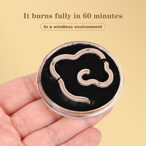 Balsam Fir Incense Coil - Calming Aroma of a Fir Forest(Contains 15 Pcs) in Saudi Arabia