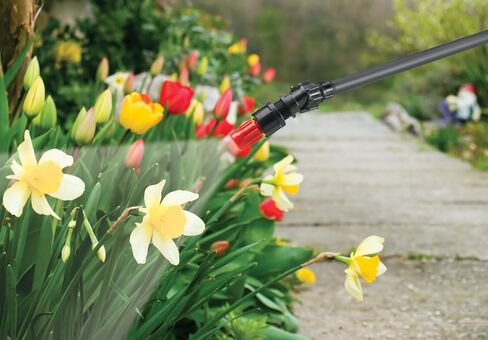 SOLO 430-1G 1-Gallon Handheld Farm and Garden Sprayer, with Shut-Off Valve and Unbreakable Wand, White in Kuwait