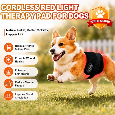 Cordless Red Light Therapy Pad for Dogs - 60 LEDs Rechargeable Dog Red Light Therapy Belt with 660nm 850nm, Pet Red Light Therapy Wrap for Home Use, 2 Straps 5 Brightness Levels 30-Min Timer in Saudi Arabia