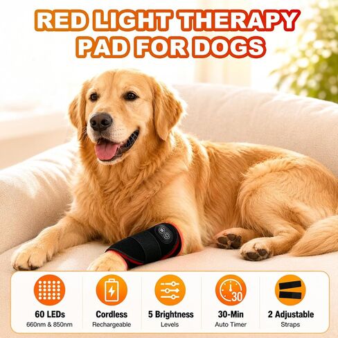 Cordless Red Light Therapy Pad for Dogs - 60 LEDs Rechargeable Dog Red Light Therapy Belt with 660nm 850nm, Pet Red Light Therapy Wrap for Home Use, 2 Straps 5 Brightness Levels 30-Min Timer in Saudi Arabia