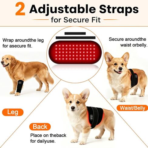 Cordless Red Light Therapy Pad for Dogs - 60 LEDs Rechargeable Dog Red Light Therapy Belt with 660nm 850nm, Pet Red Light Therapy Wrap for Home Use, 2 Straps 5 Brightness Levels 30-Min Timer in Saudi Arabia