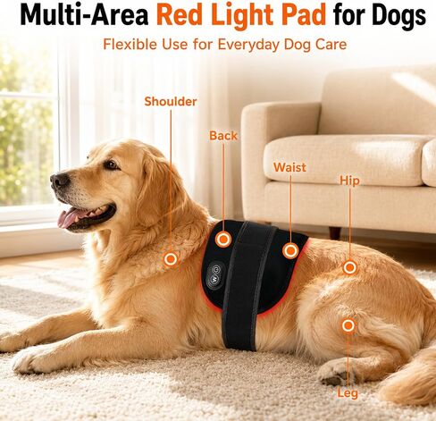 Cordless Red Light Therapy Pad for Dogs - 60 LEDs Rechargeable Dog Red Light Therapy Belt with 660nm 850nm, Pet Red Light Therapy Wrap for Home Use, 2 Straps 5 Brightness Levels 30-Min Timer in Saudi Arabia