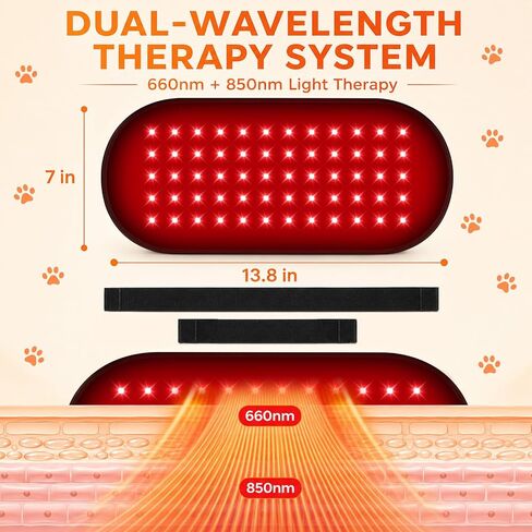 Cordless Red Light Therapy Pad for Dogs - 60 LEDs Rechargeable Dog Red Light Therapy Belt with 660nm 850nm, Pet Red Light Therapy Wrap for Home Use, 2 Straps 5 Brightness Levels 30-Min Timer in Saudi Arabia