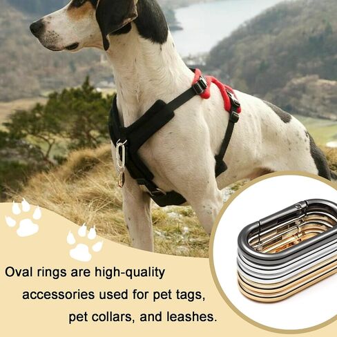 4pcs Gold Carabiner, 2" Oval Spring Keyrings, Large Keychain Carabiner Clips, Spring O Rings Buckles for Purse Clip, Bag Charms, Backpack Strap Clasp, Dog Tag, Car Keyring Accessories (Light Gold) in Kuwait