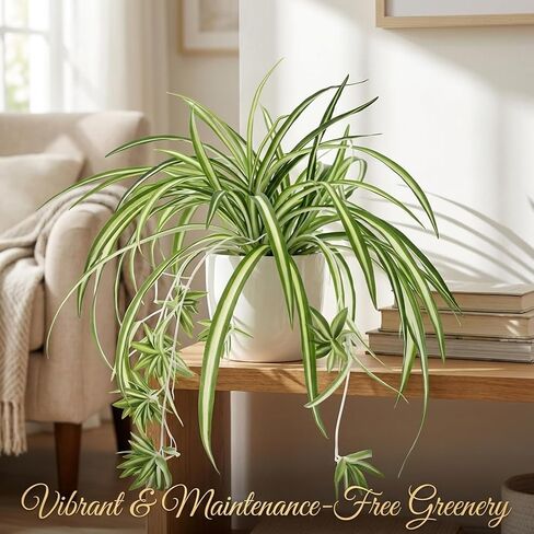Spider Plants Live House Plants, Set of 3 Artificial Silk Spider Plants with Golden Edges, No Maintenance Required Indoor Decor, Realistic Faux Spider Plant Arrangement for Home and Office in Saudi Arabia