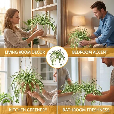 Spider Plants Live House Plants, Set of 3 Artificial Silk Spider Plants with Golden Edges, No Maintenance Required Indoor Decor, Realistic Faux Spider Plant Arrangement for Home and Office in Saudi Arabia