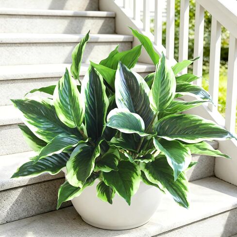 Artificial Plants Outdoor Fake Hostas, 4PCS Realistic Faux Plants Corner Decoration, Plastic Outdoor Greenery Plants UV Resistant Fake Plants Outside Indoor for Porch Office Yard Garden Décor in Saudi Arabia