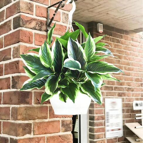Artificial Plants Outdoor Fake Hostas, 4PCS Realistic Faux Plants Corner Decoration, Plastic Outdoor Greenery Plants UV Resistant Fake Plants Outside Indoor for Porch Office Yard Garden Décor in Saudi Arabia